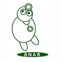 B N A R Enterprises logo