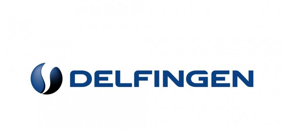 DELFINGEN PH-FILIPINAS, INC. logo