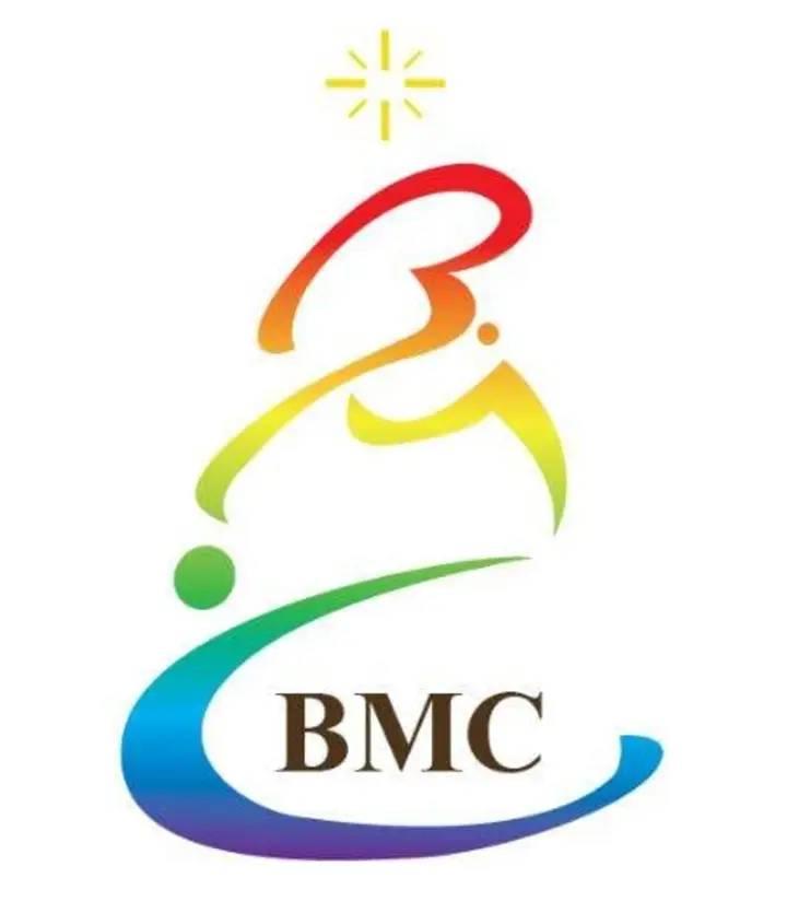 BOJIE Development Corporation logo