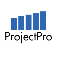 Projectpro, Incorporated logo